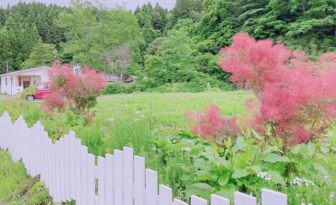 【秋田市】花農家直営！花あそびができる体験型ガーデン87canvas