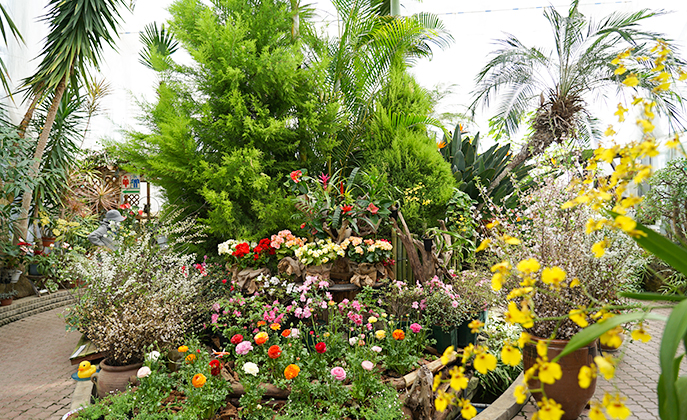 〈大潟村〉ここは南国⁉︎一年中花が咲く生態系公園の観賞温室